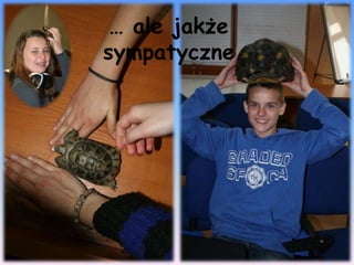 … ale jakże
sympatyczne
 