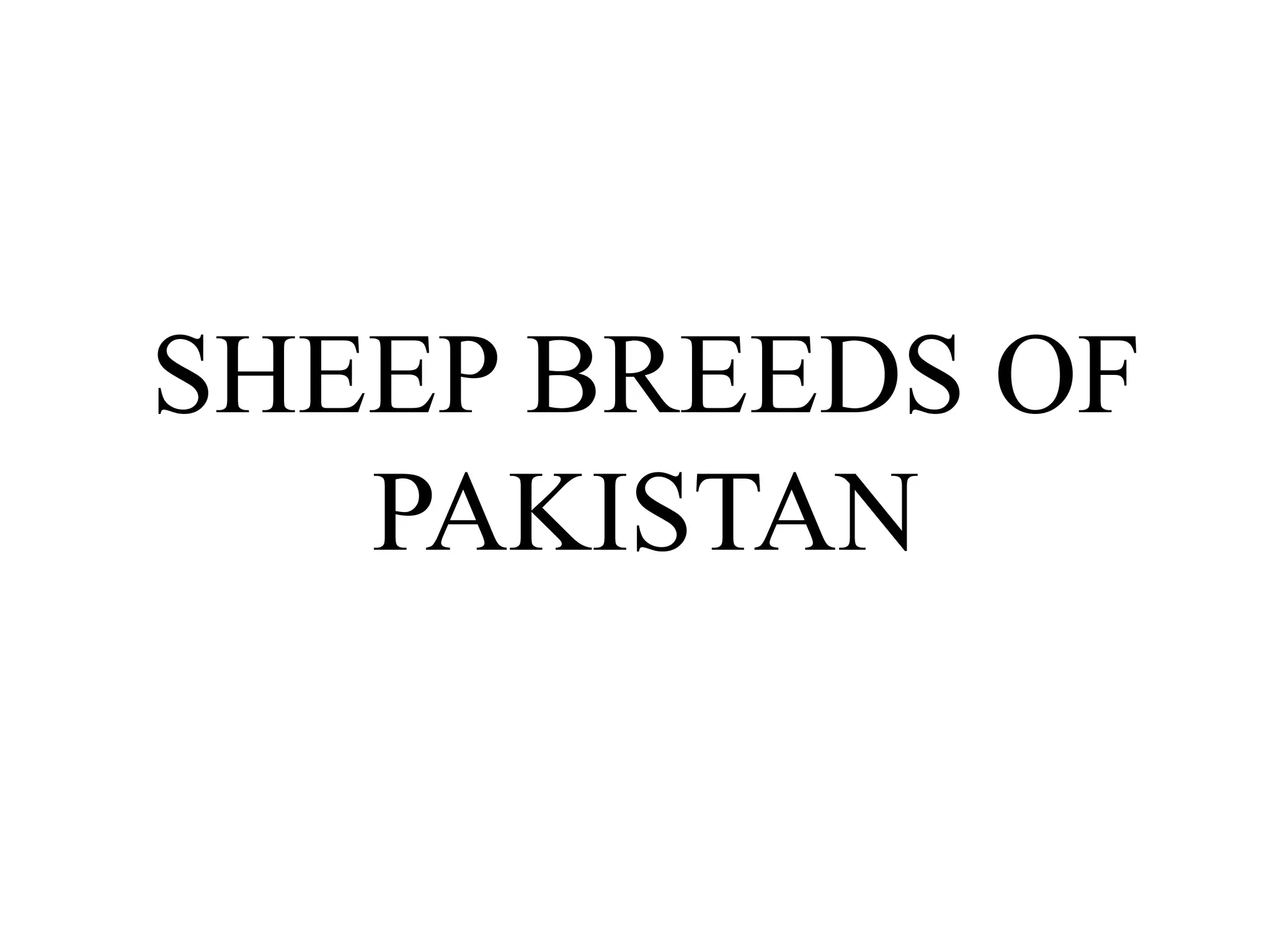 6 c. SHEEP BREEDS new.ppt