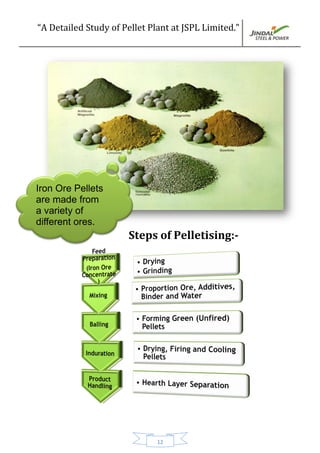 “A Detailed Study of Pellet Plant at JSPL Limited.”
12
Steps of Pelletising:-
Iron Ore Pellets
are made from
a variety of
different ores.
 