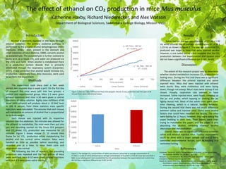 The effect of ethanol on CO₂ production in mice Mus musculus
Katherine Haxby, Richard Niederecker, and Alex Watson
Department of Biological Sciences, Saddleback College Biology, Mission Viejo
Introduction
Methods
Results
Discussion
Figure 1. Data was collected from the Pasco GLX passport, Mouse 2’s CO2 production over the span of 10
minutes from saline and ethanol values.
0
5000
10000
15000
20000
25000
30000
35000
40000
Saline Ethanol
AverageCO2Concentration(ppm)
Mice
y = 46.768x - 969.58
R² = 0.995
y = 80.724x + 887.62
R² = 0.9971
0
10000
20000
30000
40000
50000
60000
0 100 200 300 400 500 600 700
CO2Concentration(ppm)
Time (seconds)
Saline Ethanol Linear (Saline) Linear (Ethanol)
Alcohol is primarily digested in the body through
ethanol oxidation. The primary oxidative pathway is
performed by the enzyme alcohol dehydrogenase (ADH)
(McGuire, 2006). ADH, present in the stomach and
small intestines of mice (Bolema, 1989), converts alcohol
to acetaldehyde. The acetaldehyde is further oxidized to
acetic acid, as a result, CO2 and water are produced via
the citric acid cycle. When alcohol is metabolized there
is a production carbon dioxide that is primarily
eliminated through the respiratory system (Carpenter,
1937). It was predicted that alcohol would increase CO2
production. Laboratory mice, Mus musculus, were used
to perform this experiment.
Figure 2. The average CO2 concentration of saline and ethanol. Saline had an average concentration of
27,439.1 ± 3,165.25 while ethanol had an average concentration of 31,674.4 ± 2734.30. Error bars are mean ±
SEM. A one tailed paired t-test revealed that the CO2 production between the experimental and control mice
did not have a significant difference (p= 0.187, N=10).
The experiment took place over a two week
period, two separate days a week a part. On the first day
of research the mice were split into two groups; a
control and experimental group. Mice 1-5 were given
ethanol injections and mice 6-10 were given a control
injections of saline solution. Eighty nine milliliters of 80
proof (40% ethanol) will produce about a .15 BAC level
in 100 lb person; from these statistics mass specific
injections were calculated. This ensures that each mouse
will metabolize an amount of alcohol that is proportional
to its body weight.
Each mouse was injected with its respective
solution into the abdomen. Ten minutes was allowed for
the ethanol to metabolize, the mice were then put into
jars and recording started via the Pasco GLX passport
and CO2 probe. CO2 production was measured for 10
minutes. Figure 1 shows mouse 2’s 10 minute time
frame for its’ CO2 production whilst metabolizing the
alcohol and the control saline solution. Mice were
handled as little as possible before recording, and
recorded one at a time, to keep them calm and
respiration rate normal.
The following day two of research, the preceding
procedure was repeated and the two groups of mice
were switched; mice 6-10 were given ethanol injections
and mice 1-5 were given saline solution.
Saline had an average concentration of 12.98 ± 1.50
mL while ethanol had an average concentration of 14.98 ±
1.29 mL as shown in figure 2. The average amount of CO2
produced was larger in mice that were injected alcohol.
However, a one tailed paired t-test revealed that the CO2
production between the experimental and control mice
did not have a significant difference (p= 0.187, N=10).
References
The extent of this research project was to determine
whether alcohol metabolism increases CO2 production in
fasting mice. During the first trial there was a significant
difference between the ethanol injected and saline
injected mice. Mice that were injected with ethanol
were docile, they were motionless and were laying
down, though not asleep. Mice’s eyes were droopy if not
closed. Visually, respiration rate seemed to have
increased. Saline injected mice, were hyper, climbing up
the jar and probe; which tapping or shaking the jar
lightly would halt. Most of the saline mice spent their
time cleaning, which is a natural, healthy behavior.
During the second trial there was not much difference
between saline and injected mice. There were several
factors that could have modified the results. The mice
were fasting for 12 hours, however, they were eating the
paper bedding in their tank. Their bodies were then
trying to metabolize the paper, and the paper is also
absorbing the alcohol, inhibiting maximal alcohol
absorption and metabolization.
Overall, there was no significant difference between
saline and ethanol injected mice. Further experiments
could be done with a larger sample size and a more
controlled environmental factors, such as housing and
controlled fasting.
Carpenter, Thorne M. (1937). The Metabolism of Alcohol in the Animal Body.
The Scientific Monthly. Vol. 45, No 1, pp 5-18.
McGuire L.C., Cruickshank A. M., Munro P.T. 2006. Alcoholic Ketoacidosis,
Emergency Medicine Journal. pp. 417-420
Boleda M. Dolors, Pere Julia, Alberto Moreno, and Xavier Pares (1989). Role of
Extrehepatic Alcohol Dehydrogenase in Rat Ethanol Metabolism. Achives
of Biochemistry and Biophysics Vo.274, No. 1: pp. 74-81
 