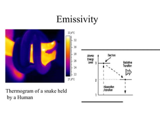 E
Emissivity
Thermogram of a snake held
by a Human
 