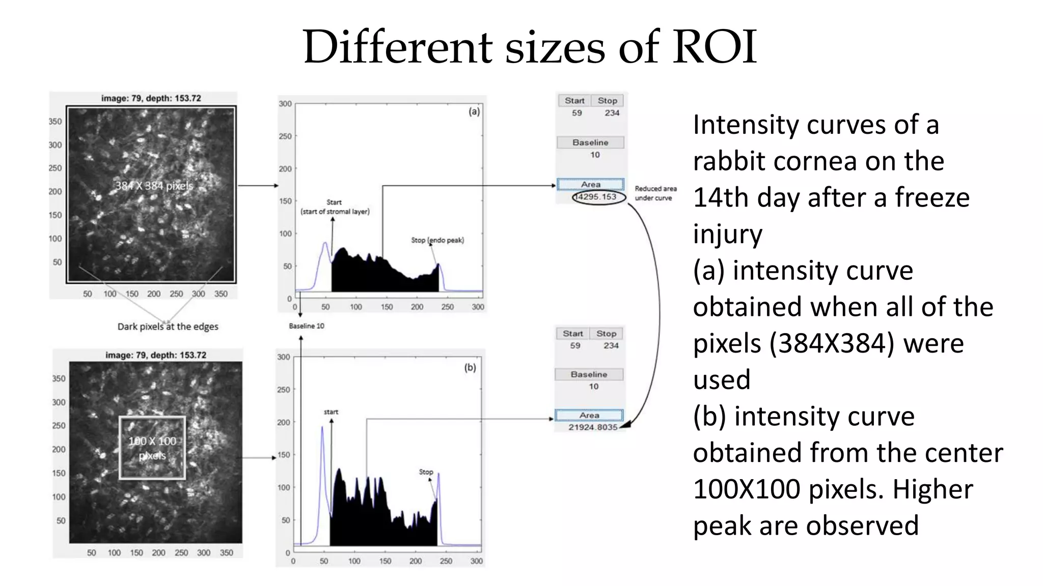 Different sizes of ROI
Intensity curves of a
rabbit cornea on the
14th day after a freeze
injury
(a) intensity curve
obtained when all of the
pixels (384X384) were
used
(b) intensity curve
obtained from the center
100X100 pixels. Higher
peak are observed
 