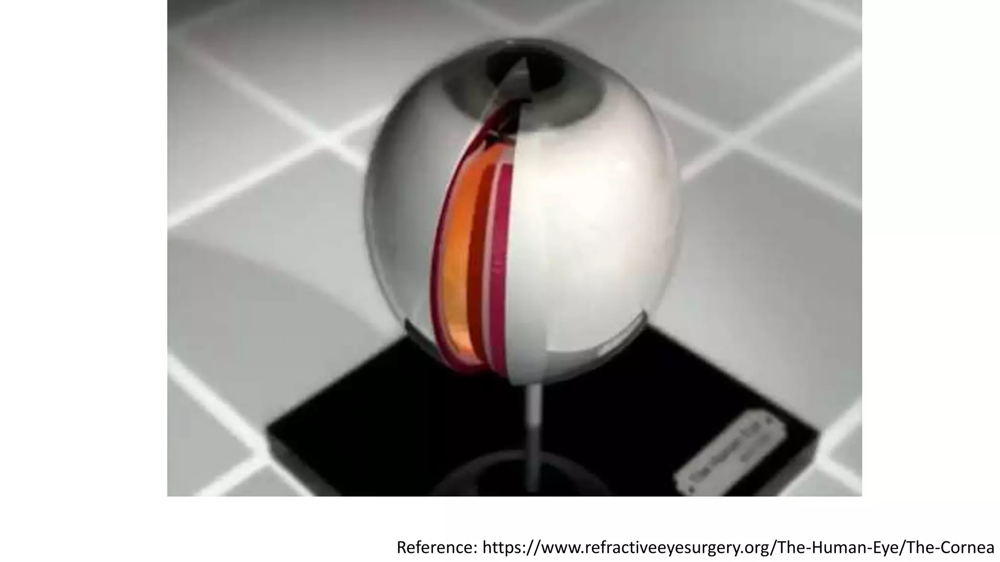 Reference: https://www.refractiveeyesurgery.org/The-Human-Eye/The-Cornea
 