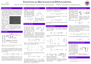 STATISTICAL MECHANICS OF DNA LOOPING
FELIX X.-F. YE
1,2
, NATHAN BAKER
1
, PANOS STINIS
1
, HONG QIAN
2 1
PNNL,2
UNIVERSITY OF WASHINGTON
INTRODUCTION
The formation of DNA loops is an important part
in the biological processes, including gene expres-
sion, genetic recombination, DNA replication and
repair. Some of binding sites are located many
thousands of base pair apart so it is required for
a DNA molecule
to form a loop.
In this presen-
tation, we are
interested in the
thermodynamic
cost of DNA
looping in terms
of the statistical
distribution of
polymer con-
formations in
different models.
Lisa G. DeFazio et al. EMBO J. 2002; 21:3192-3200
Figure 1: Each end of DNA molecules
is bound to a single protein. The one
in the lower right has been circularized
with what two proteins bound to the
ends of the DNA.
J FACTOR
Figure 2: Intra- and Intermolecular synapsis reactions. The cyclization
reaction is also a part of two step mechanism.
The J factor is a quantiﬁcation of the free energy
cost of cyclization in terms of the ratio of respec-
tive equilibrium constants Kc and Kd for two dif-
ferent reactions.
J = 8π2 k1/k−1
kd
= 8π2 W(0)
NAv
= 8π2 Zc/Z
NAv
(1)
where W(0) is the probability density for end-
to-end distance ree evaluated at 0, Zc and Z are
the canonical ensemble partition functions for the
loop chain and the chain without any constraints.
FREELY JOINTED MODEL
Consider the DNA
molecule is homoge-
neous and the dynamics
is the local jump process.
The probability density
W(0) can be solved
easily. The J factor is
J = 8π2 (3/2πNl2
)3/2
NAv
(2)
Figure 3: A DNA molecule con-
sists of N links, each of length
l and every bond vector rn =
Rn − Rn−1 are independent of
each other.
ROUSE MODEL
We have the stochas-
tic differential equation
of motion for a freely
draining polymer with
both end are free in
dilute solution. It is
the mechanically over-
damping spring model.
Figure 4: A DNA molecule con-
sists of N beads and each bead is
connected with a homogeneous
spring with spring constant k.
The position of beads is a 3D vector and we can
study each component separately for simplicity.
dR
dt
=
1
ζ
AR +
2kbT
ζ
dW(t)
dt
(3)
where ζ the frictional coefﬁcient, W(t) is the
Wiener process and the matrix A is
A = k






−1 1 0 . . . 0 0
1 −2 1 . . . 0 0
. . . . . . . . . . . . . . . . . .
0 0 . . . 1 −2 1
0 0 . . . 0 1 −1






(4)
The corresponding forward Fokker-Planck equa-
tion for P(R, t) is
∂P
∂t
= · (Dr P −
1
ζ
ARP) (5)
The diffusion constant Dr = kbTI/ζ, that is
ﬂuctuation-dissipation relation. The stationary
distribution is the equilibrium Boltzmann distri-
bution, Ps(R) ∝ exp(1
2 RT
AR/kbT).
ROUSE MODEL CONT.
If we consider 3D model, the dimension of R ex-
tends to 3(N + 1). The J factor is
J ∗ NAv = 8π2
(
k
2πkbT
N + 1
N2
)3/2
(6)
If we choose the spring constant k = 3kbT
l2 , then
the J factor will be
J ∗ NAv = 8π2
(
3
2πl2
N + 1
N2
)3/2
(7)
It is consistent with the result in freely joint model
as N → +∞.
ZIMM MODEL
For long polymer, the hydrodynamic interaction
must be included. The stochastic differential
equation will be
dR
dt
= HAR + 2kbTH
dW(t)
dt
(8)
where this mean hydrodynamic interaction ma-
trix H is
H =
1
ζ







1 1√
2
. . . 1√
N
1 1 . . . 1√
N−1
1√
2
1 . . . 1√
N−2
. . . . . . . . . . . . . . .
1√
N
1√
N−1
1√
N−2
. . .







(9)
The corresponding forward Fokker-Planck equa-
tion for P(R, t) is
∂P
∂t
= · (−HARP + Dz P) (10)
The diffusion constant
Dz = kbTH. The
stationary distribution is
the same as the Rouse
model. So the J factor for
Zimm model is the same
as Rouse model.
Figure 5: Non-local interactions
are included. The further two
beads apart, the weaker the in-
teractions are.
REACTION RATE CONSTANT
Although all J factors
are the same for these
three models, the re-
action rate constants
are different. It is
believed the hydrody-
namic interaction ac-
celerates the reaction
rate.
Figure 6: The capture radius
of DNA looping here is α. The
looping time tL is the mean ﬁrst
passage time for the length of ree
smaller than the capture radius.
In the normal model analysis,
ree = −4
p:odd
Xp(t) (11)
where Xp is the normal coordinate and each is
governed by decoupled linear stochastic differen-
tial equation. The reaction rate constant k1 is the
reciprocal of the ﬁrst passage time.
It is now an 1D diffusion model and the passage
time is given by SSS theory
t(x0) =
x0
a
1
DeePs(ree)
dree
L
x
Ps(r )dr (12)
It can be further simpliﬁed by Kramer rate theory,
tL ≈
1
DeePs(α)
(13)
INHOMOGENEOUS BOND
The DNA sequence is
not homogeneous so
it is necessary to con-
sider this effect. If
one of the springs has
far greater spring con-
stant k than others
k. It is possible to
exhibit different time
scale behaviors.
Figure 8: In the simplest case, only
one bond is inhomogeneous.
REFERENCES
[1] M. Doi and S. Edwards, The Theory of Polymer Dynamics, The Clarendon Press, Oxford Uni-
versity Press, New York, 1986, 331 pp.
[2] R. Afra and B. Todd, Kinetics of loop formation in worm-like chain polymers The Journal of
Chemical Physics, 138, 174908 (2013)
 