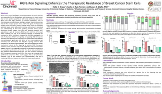 HGFL-Ron Signaling Enhances the Therapeutic Resistance of Breast Cancer Stem Cells
Abstract
Breast cancer stem cells (BCSCs) are a subpopulation of cancer cells that
are responsible for the development and maintenance of breast cancer
due to their specific capabilities to self-renew, proliferate, and survive.
BCSCs also have high resistance to standard treatments, such as
chemotherapy and radiotherapy, leading to relapse. Reports demonstrate
that the Ron receptor tyrosine kinase and its sole ligand, the Hepatocyte
Growth Factor-Like (HGFL) protein, promote breast cancer by increasing
epithelial breast cancer cell growth, motility, and survival. In extending
our understanding of how Ron signaling promotes breast cancer,
preliminary studies suggest that HGFL-Ron signaling enhances BCSC
populations, in part by increasing BCSC numbers and their self-renewal
ability. However, the role of the HGFL-Ron signaling in regulating the
resistance of BCSCs to different therapies has not been investigated. To
test the function of HGFL-Ron signaling in regulating BCSC therapeutic
resistance, Ron deficient and proficient BCSCs were treated with different
chemotherapeutic agents and their ability to form mammospheres was
evaluated. Data demonstrate that HGFL-Ron signaling enhances BCSC
resistance to the tested chemotherapies. Next, we evaluated the cellular
mechanisms induced by Ron signaling to promote BCSC therapeutic
resistance. Flow cytometry analyses for proliferation and survival markers
suggest that HGFL-Ron signaling promotes BCSC therapeutic resistance by
increasing their proliferation and survival. Overall, our data provide (i) the
first evidence demonstrating both HGFL and Ron as factors regulating
BCSC therapeutic resistance and (ii) that this occurs by increasing BCSC
proliferation and survival. These results suggest that use of combination
therapies, such as Ron inhibitors and chemotherapies, may aid in
eradicating BCSCs and improve the outcome of breast cancer patients.
Methods
•Mouse breast cancer cell lines: R7 (express Ron and HGFL), R7shRon, and R7shHGFL
•Western Blot and quantitative real-time PCR (qRT-PCR) characterized Ron and HGFL expression
•Cell viability assays determined the chemotherapy concentrations to be used in mammosphere
(MS) formation assays
•BCSC therapeutic resistance was tested through BCSC-enriched mammosphere formation
assays
•BCSC survival and proliferation were assessed by flow cytometry analyses (AnnexinV/PI, BrdU)
Holly E. Kraus1,2
, Sasha J. Ruiz-Torres1
, and Susan E. Waltz, PhD1,3
1
Department of Cancer Biology, University of Cincinnati College of Medicine, 2
Wheeling Jesuit University, and 3
Research Service, Cincinnati Veterans Hospital Medical Center,
Cincinnati, OH 45267
Results
Figure 4. HGFL-Ron signaling enhances BCSC proliferation and BMS-777607 treatment makes the Ron signaling
BCSCs act similar to Ron deficient BCSCs. Percent of proliferating cells (BrdU+) after 10uM Cisplatin (A), 10uM
Doxorubicin (B), and 100uM BMS-777607 (C) treatment. *P<0.05
A B C
Figure 2. HGFL-Ron signaling in BCSCs promotes mammosphere formation and resistance after
chemotherapy treatment. A) Representative picture of R7 mammospheres. B-D) Quantification of the
number of mammospheres formed after 10uM Cisplatin (B), 10uM Doxorubicin (C), and 100uM BMS-
777607 (D) treatments. *P<0.05
A B
Hypothesis
HGFL-Ron signaling enhances the therapeutic resistance of breast cancer stem cells by
increasing their mammosphere formation, proliferation, and survival capabilities
Conclusions
•Ron signaling enhances proliferation, inhibits apoptosis, and promotes mammosphere formation of
BCSCs
•BCSCs with genetic ablation of Ron signaling exhibit reduced proliferation, survival, and
mammosphere formation abilities; therapies targeting Ron reduce BCSC mammosphere formation
and
proliferation
•BCSC therapeutic resistance was more affected by a genetic loss of Ron signaling and was
marginally affected by chemotherapy
•Our studies support targeting Ron to reduce the number and properties of BCSCs
Future Work
•Reproduce mammosphere formation assay experiments
•Examine the sensitivity of Ron expressing BCSCs to other traditional chemotherapies
•Determine the mechanisms by which Ron promotes therapeutic resistance in BCSCs – STAT1, β-
catenin
•Assess the response of Ron-expressing BCSCs to chemotherapy following orthotopic transplantation
into mice
Acknowledgements
I would like to thank the University of Cincinnati, the ASPET-SURF Dalton Zannoni summer fellowship
A
A
C D
C
B
Figure 3. HGFL-Ron signaling promotes BCSC resistance to Cisplatin and Doxorubicin by inhibiting cell apoptosis.
Percent of alive, early apoptotic, late apoptotic, and dead cells obtained based on the expression of Annexin
V/Propidium Iodide markers after 10uM Cisplatin (A) and 10uM Doxorubicin (B) treatment.
Introduction
Breast Cancer Stem Cells (BCSCs)
•Tumor initiating cells, have high self-renewal,
proliferation, and survival abilities - essential
for tumor initiation/development
•Have enhanced resistance to treatments,
problematic to target in the clinic
* *
D
HGFL-Ron Signaling
•Ron – receptor tyrosine kinase activated by its
ligand, HGFL
-Upregulated in several cancers, including breast
cancer
-Enhances tumor cell growth, survival, motility,
and angiogenesis
Chemotherapeutic Agents
•Pro-apoptotic: Cisplatin, Doxorubicin
•Anti-proliferative: BMS-777607
B
Results
Figure 1. Ron and HGFL expression increase in R7 BCSC-enriched mammospheres compared to
parental R7 cells, while R7shRon and R7shHGFL cells are deficient in HGFL-Ron signaling. qRT-PCR
analyses show increased Ron (A) and HGFL (B) expression in R7 BCSC-enriched mammospheres (R7
MS). (C) Western analyses for Ron in cell lines with alterations in Ron expression. (D) qRT-PCR analysis
showing lower HGFL expression in R7shHGFL cell line.
 