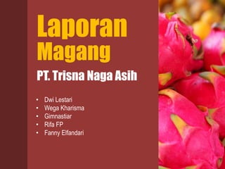 Magang
Laporan
PT. Trisna Naga Asih
• Dwi Lestari
• Wega Kharisma
• Gimnastiar
• Rifa FP
• Fanny Elfandari
 