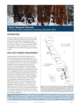 DISTRIBUTION
The giant sequoia, Sequoiadendron giganteum, is found
only within a 400 km (250 mi) long, 15 km (9 mi) wide
belt along the western Sierra Nevada range, within
eleva­tions of 1,400-2,150 m (4,600-7,000 feet) depend-
ing on latitude. There are 75 groves of the giant sequoia,
covering about 17,500 hectares1
(Figure 1). Groves are
dominated by white fir, followed by sugar pine and giant
sequoia2
.
PAST AND CURRENT MANAGEMENT
Past management actions that have affected current
conditions of giant sequoia include logging, fire exclu-
sion, and prescribed fire. Until 1980, 23% of grove area
was commercially logged; 6% was selectively logged by
the USFS until 19921,3
. As of 1996 over half of all groves
prohibited commercial logging and prescribed fires,
while 18% were protected from commercial logging
and treated with prescribed fires. Currently, all agencies
prohibit logging for sequoia commercial purposes within
groves (although CDF allows commercial harvesting in
young sequoia plantations near Mountain Home Grove4
).
Prescribed fire, managed wildfires, and/or mechanical
thinning are used to manage grove conditions, although
not all groves are treated (see Table 1 for justifications
for using different management techniques). Some
USFS lands also have a silviculture program and have
plantations of planted sequoias57
. Constraints on active
management of groves include low risk tolerance for
escaped fires, effect of smoke emissions on air quality,
public opposition to thinning, costs, and potential scarring
of iconic giant sequoia trees (see Figure 2). As a result,
less than 20% of the forests in Sierra Nevada are currently
receiving fuels treatments5
.
1434
VOLUME II, CHAPTER 55
SNEP GIS Center
FIGURE 55.2
The 75 naturally-occurring
sequoia groves in the Sierra
Nevada (indicated by dots)
are small and scattered. Most
are found south of the Kings
River (which separates the
Sierra and Sequoia National
Forests) and are on national
forest, national park, or other
public land. Roughly 8% of all
grove area is privately owned.
(SNEP map by John Aubert.)
Most of the 75 naturally-occurring sequoia groves occur in
the southern Sierra Nevada, south of the Kings River (Rundel
1972a; figure 55.2), collectively occupying about 14,600 ha
(36,000 acres). 1 Most are under federal jurisdiction; about 49%
of all grove area in the Sierra Nevada is managed by the U.S.
Forest Service (USFS), about 28% by the National Park Service
(NPS), and less than one percent by the Bureau of Land Man-
agement.2 (Percentages are of total Sierra Nevada grove area,
not number of groves.) Other public ownership includes 11%
of all grove area, variously managed by the California Depart-
Figure 1: Location of giant sequoia groves. The USFS manages near-
ly half of grove area, while 28% is managed by NPS, 1% by the BLM,
11% by other public agencies (including CDF, CDPR, UC system, and
Tulare County), 8% by private owners, and 4% by the Tule River Indi-
ans3
. (Figure adapted from Sierra Nevada Ecosystems Project 1996)
Giant Sequoia Groves
A Southern Sierra Adaptation Workshop Information Brief
Photo:K.Cummings
Agency Abbreviations: BLM (Bureau of Land Management); CDF (California Department of Forestry and Fire Protection);
CDPR (California Department of Parks and Recreation); GSNM (Giant Sequoia National Monument); INF (Inyo National
Forest); NPS (National Park Service); SEKI (Sequoia - Kings Canyon National Parks); SNF (Sierra National Forest); SQF
(Sequoia National Forest); UC (University of California); USFS (U.S. Forest Service); YOSE (Yosemite National Park)
Visalia, California			 February 20-22, 2013				 Page 1
 