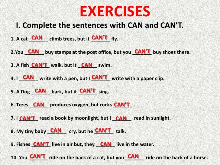 Вопросы c can. Предложения с can. Предложения с глаголом can. Предложения с can примеры. Can could правило.