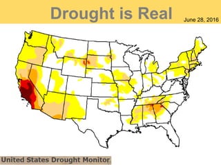 Drought is Real June 28, 2016
 