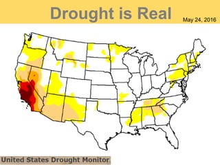 Drought is Real May 24, 2016
 