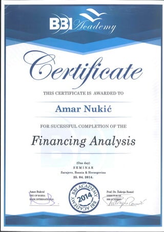 Financing Analysis