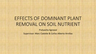 EFFECTS OF DOMINANT PLANT
REMOVAL ON SOIL NUTRIENT
Pratyasha Agrawal
Supervisor: Marc Cadotte & Carlos Alberto Arnillas
 