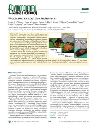 Published: March 17, 2011
r 2011 American Chemical Society 3768 dx.doi.org/10.1021/es1040688 |Environ. Sci. Technol. 2011, 45, 3768–3773
ARTICLE
pubs.acs.org/est
What Makes a Natural Clay Antibacterial?
Lynda B. Williams,†,
* David W. Metge,‡
Dennis D. Eberl,‡
Ronald W. Harvey,‡
Amanda G. Turner,†
Panjai Prapaipong,†
and Amisha T. Poret-Peterson†
†
School of Earth & Space Exploration, Arizona State University, Tempe, Arizona 85287, United States
‡
U.S. Geological Survey, 3215 Marine St., Suite E127, Boulder, Colorado 80303, United States
’ INTRODUCTION
Overuse of antibiotics in healthcare is a major concern because
of the consequential proliferation of antimicrobial resistance.
Our studies of natural antibacterial minerals were initiated to
investigate alternative antimicrobial mechanisms. Indigenous
people worldwide have used clays for healing throughout history.
French green clay poultices were documented for healing Buruli
ulcer,1
a necrotizing fasciitis caused by Mycobacterium ulcerans.
However, only one of the French clays used for healing proved to
be antibacterial.2
Other sources of French green clay increased
bacteria growth relative to controls.3
Continued testing of clays
worldwide has revealed only a few deposits that are antibacterial.
Each deposit is mineralogically diﬀerent, but they are all from
hydrothermally altered volcaniclastic environments; either
altered pyroclastic material or bentonite (volcanic ash).
This paper reports the geochemical characteristics of the most
eﬀective antibacterial clay we have identiﬁed; supplied by Oregon
Mineral Technologies (OMT) Grants Pass, Oregon. The clay
source is an open pit mine in hydrothermally altered, pyroclastic
material in the Cascade Mountains. It was shown to completely
eliminate Escherichia coli, Staphylococcus aureus, Pseudomonas
aeruginosa, Salmonella typhimurium, and antibiotic resistant
extended-spectrum beta lactamase (ESBL) E. coli and methicillin
resistant S. aureus (MRSA) within 24 h.4
A variety of physical and/or chemical processes can make clays
antibacterial. Physical bactericide can occur by surface attraction
between clay minerals and bacteria, which can hamper passive
and active uptake of essential nutrients, disrupt cell envelopes or
impair eﬄux of metabolites.5
The natural antibacterial clays we
have studied do not kill by physical associations between the clay
and bacterial cells.6
The OMT clay shows no zone of inhibition
when applied dry to bacterial colonies in vitro; however, the clays
are antibacterial when hydrated. When an aqueous suspension of
OMT clay (50 mg/mL water) was placed in dialysis tubing
(25 000 MDCO) and submerged into a beaker of E. coli sus-
pended in sterile Tryptic soy broth, the bacteria died over 24 h.7
Comparisons have been made between aqueous leachates of the
OMT clay incubated with E. coli in nutrient broth and without
nutrient broth2
to eliminate chemical speciation inﬂuenced by
the broth chemistry. E. coli are completely killed by OMT
leachates rapidly (Figure 1), compared to controls in distil-
ledÀdeionized (DDI) water. Cell death occurs by exchange of
soluble clay constituents toxic to the bacteria.
Other clays, for example, allophane and imogolite, have been
made antibacterial by chemical sorption of known bactericidal
elements (Ag, Cu, Co, Zn) onto certain crystallographic sites of
the mineral surfaces.8À10
Nanoparticulate metal oxides and
Received: December 5, 2010
Accepted: March 3, 2011
Revised: February 27, 2011
ABSTRACT: Natural clays have been used in ancient and
modern medicine, but the mechanism(s) that make certain
clays lethal against bacterial pathogens has not been identiﬁed.
We have compared the depositional environments, mineralo-
gies, and chemistries of clays that exhibit antibacterial eﬀects on
a broad spectrum of human pathogens including antibiotic resistant
strains. Natural antibacterial clays contain nanoscale (<200 nm),
illite-smectite and reduced iron phases. The role of clay minerals in
the bactericidal process is to buﬀer the aqueous pH and oxidation
state to conditions that promote Fe2þ
solubility.
Chemical analyses of E. coli killed by aqueous leachates of an
antibacterial clay show that intracellular concentrations of Fe
and P are elevated relative to controls. Phosphorus uptake by
the cells supports a regulatory role of polyphosphate or
phospholipids in controlling Fe2þ
. Fenton reaction products
can degrade critical cell components, but we deduce that extracellular processes do not cause cell death. Rather, Fe2þ
overwhelms
outer membrane regulatory proteins and is oxidized when it enters the cell, precipitating Fe3þ
and producing lethal hydroxyl
radicals.
 