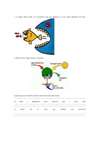 3. A figura abaixo pode ser considerada uma teia alimentar ou uma cadeia alimentar? Por quê?
4. Observe bem a figura abaixo e responda:
a) Que processo estudado emsala de aula está acontecendo acima?
_____________________________________________________________________________________
b) Qual a importância desse processo para a nossa vida?
_____________________________________________________________________________________
_________________________________________________________________________________
c) Quais são os seres que realizam este processo?
_____________________________________________________________________________________
_________________________________________________________________________________
 