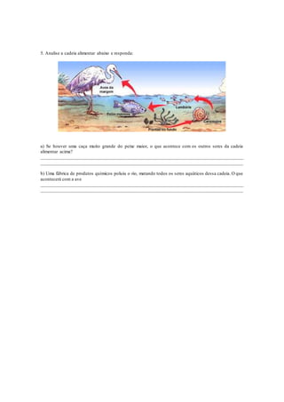 5. Analise a cadeia alimentar abaixo e responda:
a) Se houver uma caça muito grande do peixe maior, o que acontece com os outros seres da cadeia
alimentar acima?
_____________________________________________________________________________________
_________________________________________________________________________________
b) Uma fábrica de produtos químicos poluiu o rio, matando todos os seres aquáticos dessa cadeia. O que
acontecerá com a ave
_____________________________________________________________________________________
_________________________________________________________________________________
 