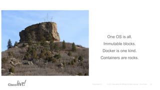 One OS is all.
Immutable blocks.
Docker is one kind.
Containers are rocks.
 