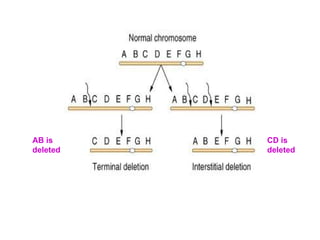 CD is
deleted
AB is
deleted
 