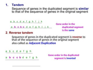 1. Tandem
Sequence of genes in the duplicated segment is similar
to that of the sequence of genes in the original segment
2. Reverse tandem
Sequence of genes in the duplicated segment is reverse to
that of the sequence of genes in the original segment
also called as Adjacent Duplication
a b c d e f g h I j k
a b c b c d e f g h I j k
a b c d e f g h
a b c c b d e f g h
Gene order in the
duplicated segment
is the same
Gene order in the duplicated
segment is inverted
 