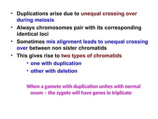 • Duplications arise due to unequal crossing over
during meiosis
• Always chromosomes pair with its corresponding
identical loci
• Sometimes mis alignment leads to unequal crossing
over between non sister chromatids
• This gives rise to two types of chromatids
• one with duplication
• other with deletion
When a gamete with duplication unites with normal
ovum – the zygote will have genes in triplicate
 
