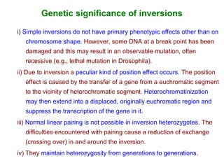 Genetic significance of inversions
i) Simple inversions do not have primary phenotypic effects other than on
chromosome shape. However, some DNA at a break point has been
damaged and this may result in an observable mutation, often
recessive (e.g., lethal mutation in Drosophila).
ii) Due to inversion a peculiar kind of position effect occurs. The position
effect is caused by the transfer of a gene from a euchromatic segment
to the vicinity of heterochromatic segment. Heterochromatinization
may then extend into a displaced, originally euchromatic region and
suppress the transcription of the gene in it.
iii) Normal linear pairing is not possible in inversion heterozygotes. The
difficulties encountered with pairing cause a reduction of exchange
(crossing over) in and around the inversion.
iv) They maintain heterozygosity from generations to generations.
 