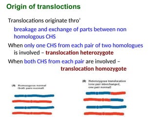 Origin of transloctions
Translocations originate thro’
breakage and exchange of parts between non
homologous CHS
When only one CHS from each pair of two homologues
is involved – translocation heterozygote
When both CHS from each pair are involved –
translocation homozygote
 