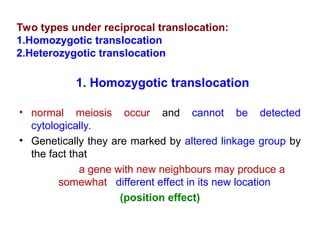 1. Homozygotic translocation
• normal meiosis occur and cannot be detected
cytologically.
• Genetically they are marked by altered linkage group by
the fact that
a gene with new neighbours may produce a
somewhat different effect in its new location
(position effect)
Two types under reciprocal translocation:
1.Homozygotic translocation
2.Heterozygotic translocation
 