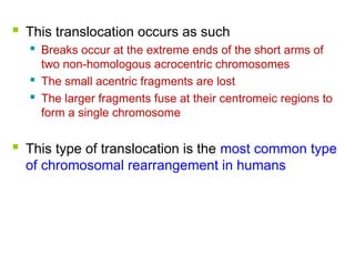  This translocation occurs as such
 Breaks occur at the extreme ends of the short arms of
two non-homologous acrocentric chromosomes
 The small acentric fragments are lost
 The larger fragments fuse at their centromeic regions to
form a single chromosome
 This type of translocation is the most common type
of chromosomal rearrangement in humans
 