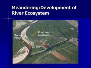 6_RiverCourseChannelPattern presentation.pdf