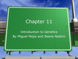 Chapter 11 Introduction to Genetics By Miguel Mejia and Seena Nadimi 