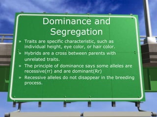 Dominance and Segregation Traits are specific characteristic, such as individual height, eye color, or hair color. Hybrids are a cross between parents with unrelated traits.   The principle of dominance says some alleles are recessive(rr) and are dominant(Rr) Recessive alleles do not disappear in the breeding process. 