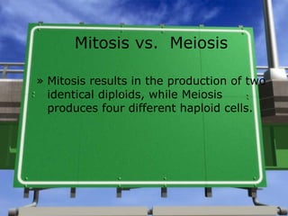 Mitosis vs.  Meiosis Mitosis results in the production of two  identical diploids, while Meiosis produces four different haploid cells. 