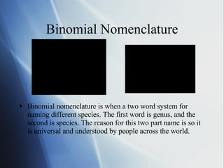 Binomial Nomenclature Binomial nomenclature is when a two word system for naming different species. The first word is genus, and the second is species. The reason for this two part name is so it is universal and understood by people across the world.  