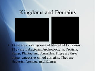 Kingdoms and Domains There are six categories of life called kingdoms. They are Eubacteria, Archaebacteria, Protista, Fungi, Plantae, and Animalia. There are three bigger categories called domains. They are Bacteria, Archaea, and Eukara.  