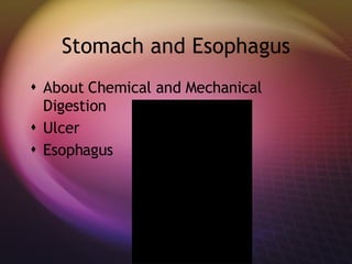 Stomach and Esophagus About Chemical and Mechanical Digestion Ulcer Esophagus