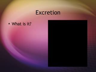 Excretion What is it?
