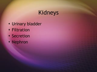 Kidneys Urinary bladder Filtration Secretion Nephron