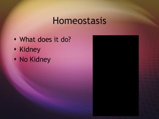 Homeostasis What does it do? Kidney No Kidney