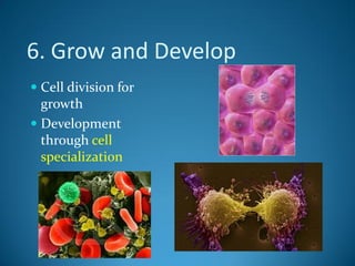 6 Characteristics Of Living Things