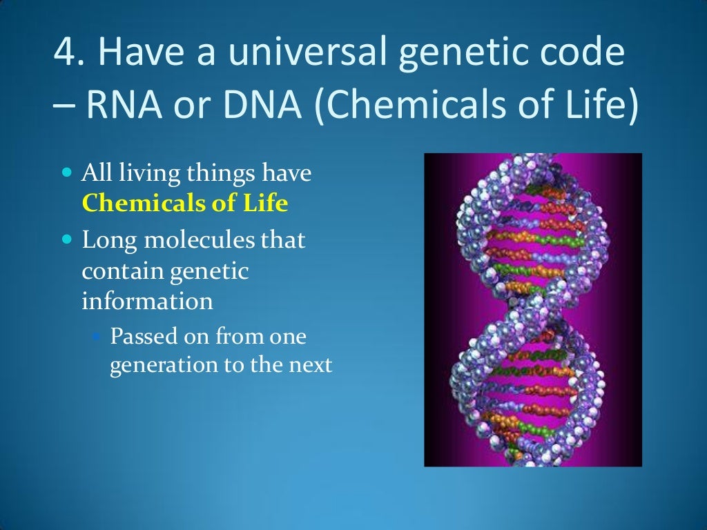 6-characteristics-of-living-things