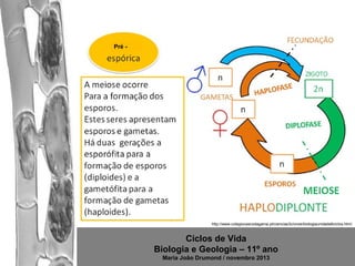 Pré -

http://www.colegiovascodagama.pt/ciencias3c/onze/biologiaunidade6ciclos.html

Ciclos de Vida
Biologia e Geologia – 11º ano
Maria João Drumond / novembro 2013

 