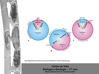 http://biogeolearning.com/site/v1/wp-content/uploads/2012/11/ciclos-comparacao.png

Ciclos de Vida
Biologia e Geologia – 11º ano
Maria João Drumond / novembro 2013

 