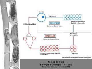 http://disciplinex.files.wordpress.com/2008/12/diplonte.jpg

Ciclos de Vida
Biologia e Geologia – 11º ano
Maria João Drumond / novembro 2013

 