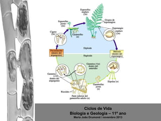 Ciclos de Vida
Biologia e Geologia – 11º ano
Maria João Drumond / novembro 2013

 