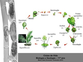 Ciclos de Vida
Biologia e Geologia – 11º ano
Maria João Drumond / novembro 2013

 