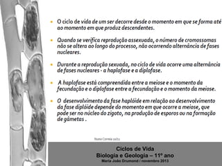 Ciclos de Vida
Biologia e Geologia – 11º ano
Maria João Drumond / novembro 2013

 