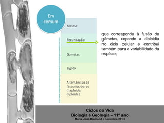 http://www.colegiovascodagama.pt/ciencias3c/onze/biologiaunidade6ciclos.html

que corresponde à fusão de
gâmetas, repondo a diploidia
no ciclo celular e contribui
também para a variabilidade da
espécie;

Ciclos de Vida
Biologia e Geologia – 11º ano
Maria João Drumond / novembro 2013

 