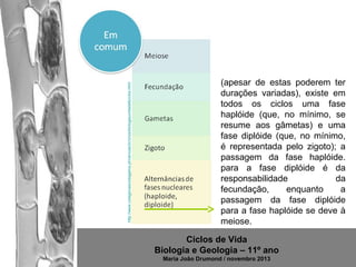 http://www.colegiovascodagama.pt/ciencias3c/onze/biologiaunidade6ciclos.html

(apesar de estas poderem ter
durações variadas), existe em
todos os ciclos uma fase
haplóide (que, no mínimo, se
resume aos gâmetas) e uma
fase diplóide (que, no mínimo,
é representada pelo zigoto); a
passagem da fase haplóide.
para a fase diplóide é da
responsabilidade
da
fecundação,
enquanto
a
passagem da fase diplóide
para a fase haplóide se deve à
meiose.
Ciclos de Vida
Biologia e Geologia – 11º ano
Maria João Drumond / novembro 2013

 