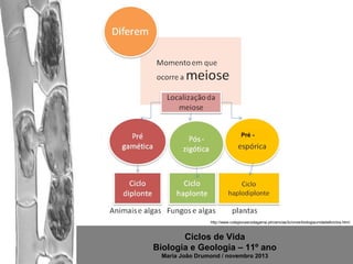 Pré -

http://www.colegiovascodagama.pt/ciencias3c/onze/biologiaunidade6ciclos.html

Ciclos de Vida
Biologia e Geologia – 11º ano
Maria João Drumond / novembro 2013

 