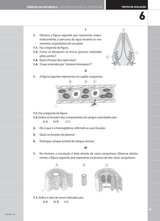 I
1. Observa a figura seguinte que representa, esque-
maticamente, o percurso da água durante os mo-
vimentos respiratórios de um peixe.
1.1. Faz a legenda da figura.
1.2. Como se designam as trocas gasosas realizadas
pelos peixes?
1.3. Qual a função dos opérculos?
1.4. O que entendes por “câmaras branquiais”?
II
1. A figura seguinte representa um capilar sanguíneo.
1.1. Faz a legenda da figura.
1.2. Indica as funções dos componentes do sangue assinalados por:
a) A; b) B; c) C.
2. Diz o que é a hemoglobina,referindo as suas funções.
3. Quais as funções do plasma?
4. Distingue sangue arterial de sangue venoso.
III
1. No Homem, a circulação é feita através de vasos sanguíneos. Observa, atenta-
mente,a figura seguinte,que representa a estrutura de três vasos sanguíneos.
1.1. Indica o tipo de vasos indicados por:
a) A; b) B; c) C.
A B C
Válvula
A B C
65
TESTES DE AVALIAÇÃO
CIÊNCIAS DA NATUREZA 6 | CADERNO DE APOIO AO PROFESSOR
6
2
1
3
1.
2.
3.
AECN6LP-05
 