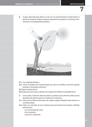 2. A água absorvida pela planta na raiz vai ser, posteriormente, transformada no
alimento da planta. A figura seguinte representa uma planta e os factores inter-
venientes na actividade fotossintética.
2.1. Faz a legenda da figura.
2.2. Como se designa esta transformação que ocorre nas folhas e permite à planta
produzir o seu próprio alimento?
2.3. Qual a função da luz?
2.4. Explica por que razão as plantas são capazes de melhorar a qualidade do ar.
3. Como sabes, o Homem, além de utilizar as plantas como alimento, utiliza outros
derivados das plantas para fins medicinais e industriais.
3.1. Indica três produtos alimentares de origem vegetal utilizados pelo Homem na
sua alimentação.
3.2. Indica um exemplo de uma matéria-prima proveniente das plantas utilizada
pelo Homem:
a) na construção de casas;
b) no vestuário;
c) para fins medicinais.
A
D
C
B
69
TESTES DE AVALIAÇÃO
CIÊNCIAS DA NATUREZA 6 | CADERNO DE APOIO AO PROFESSOR
7
4.
 